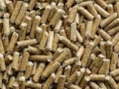 Les députés votent pour un chèque " pellets "
