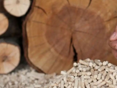 Bûches ou pellets quel est le meilleur choix ? 